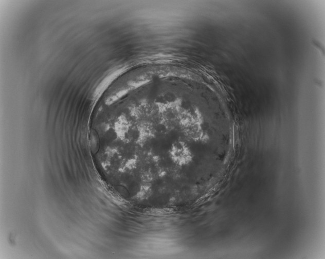 X0000099500147200806051131