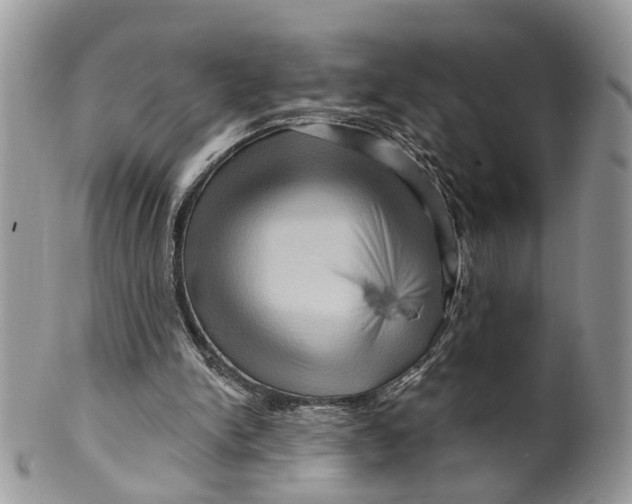 X0000099500150200806051131