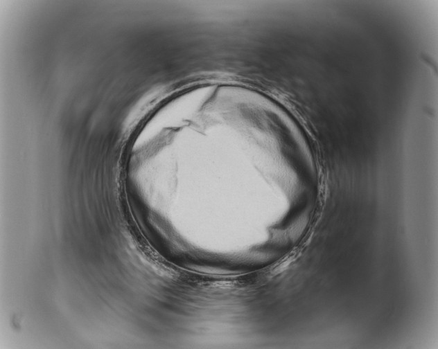 X0000099500151200806051131