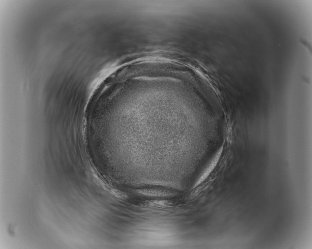 X0000099500152200806051131