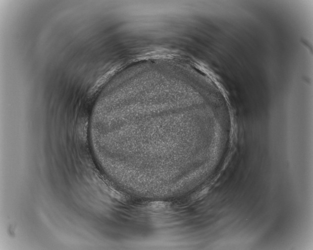 X0000099500153200806051131