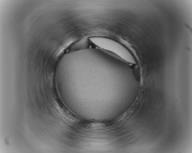 X0000099500154200806051131