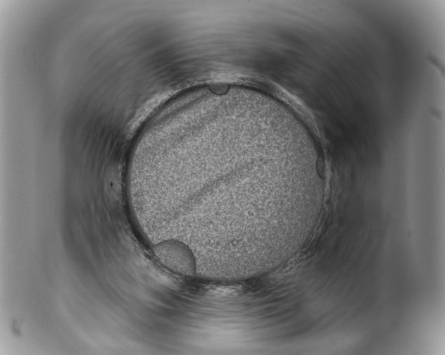 X0000099500155200806051131