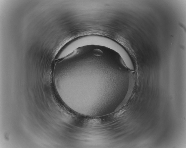 X0000099500156200806051131