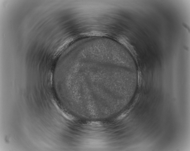 X0000099500157200806051131