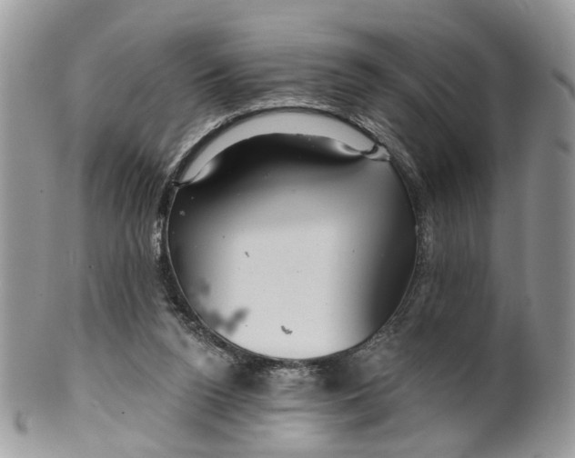 X0000099500160200806051131