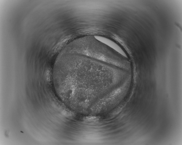 X0000099500161200806051131