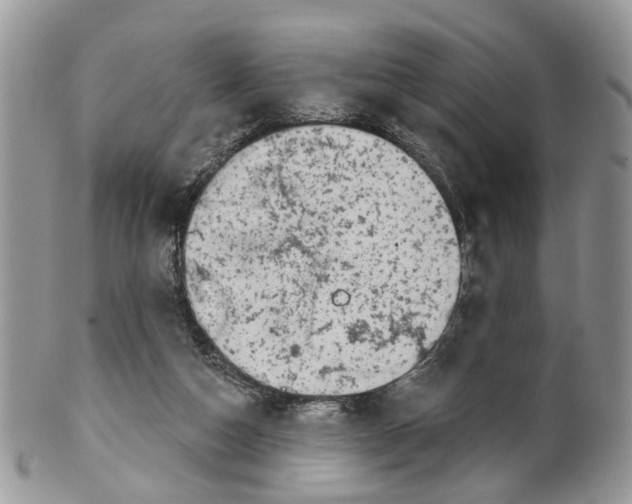 X0000099500162200806051131