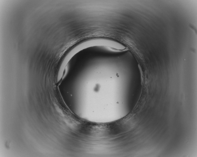 X0000099500164200806051131