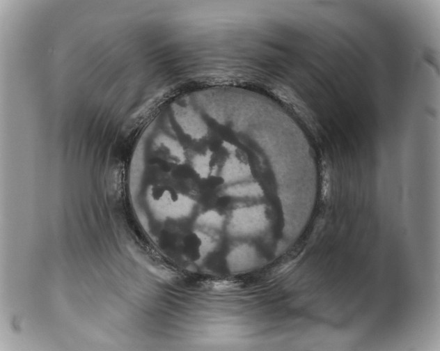 X0000099500165200806051131