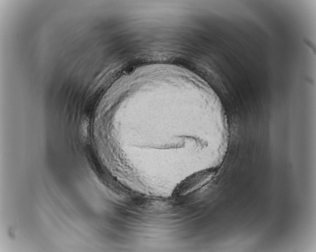 X0000099500166200806051131