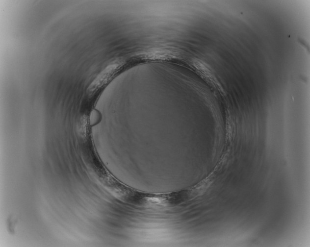 X0000099500167200806051131