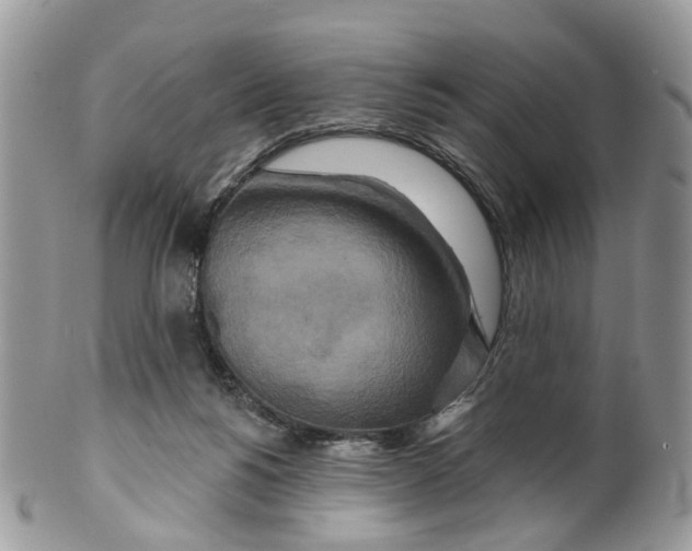 X0000099500168200806051131