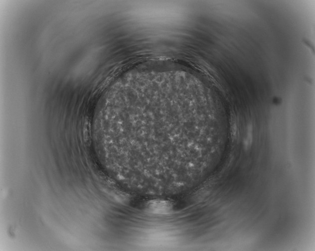 X0000099500169200806051131