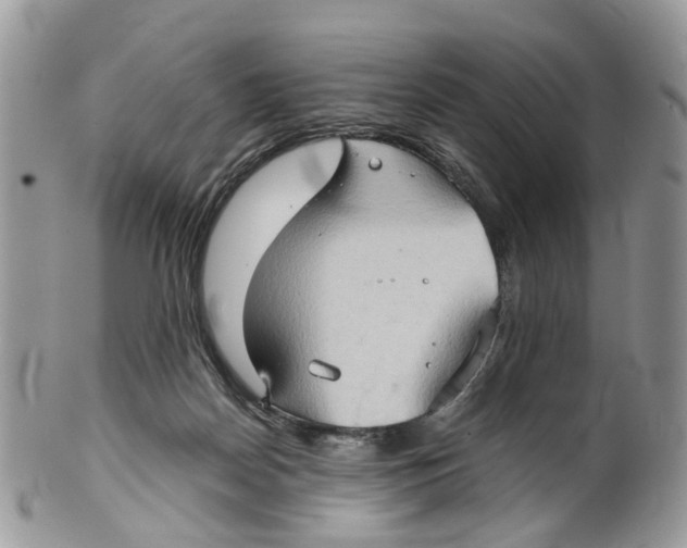 X0000099500170200806051131