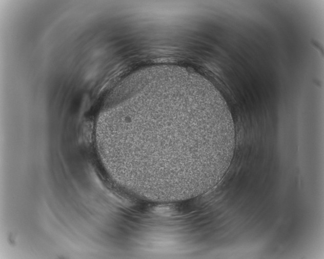 X0000099500171200806051131