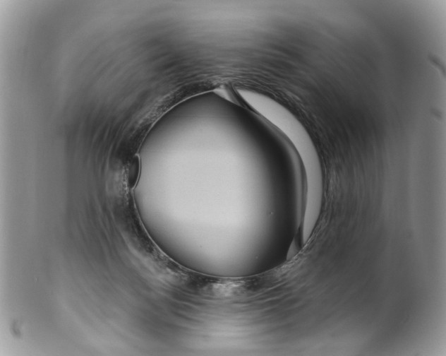 X0000099500172200806051131