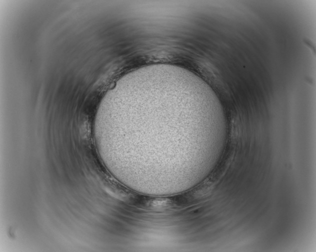 X0000099500173200806051131