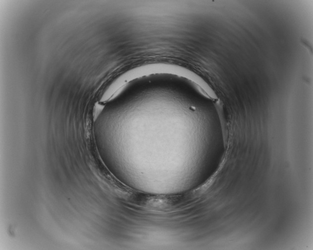 X0000099500174200806051131