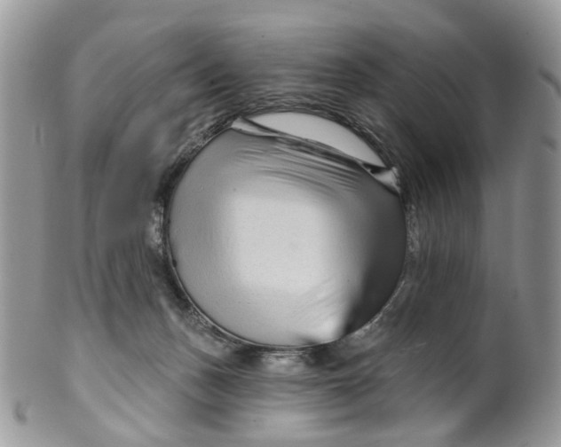 X0000099500175200806051131