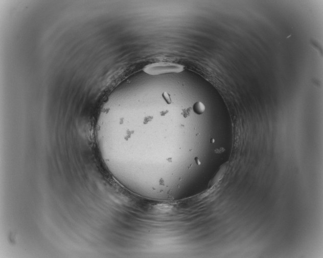 X0000099500176200806051131