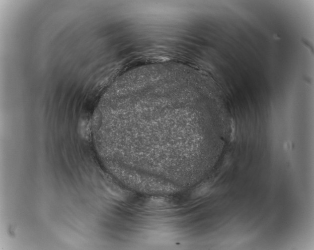 X0000099500177200806051131