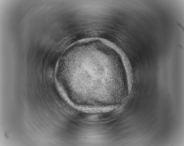 X0000099500178200806051131