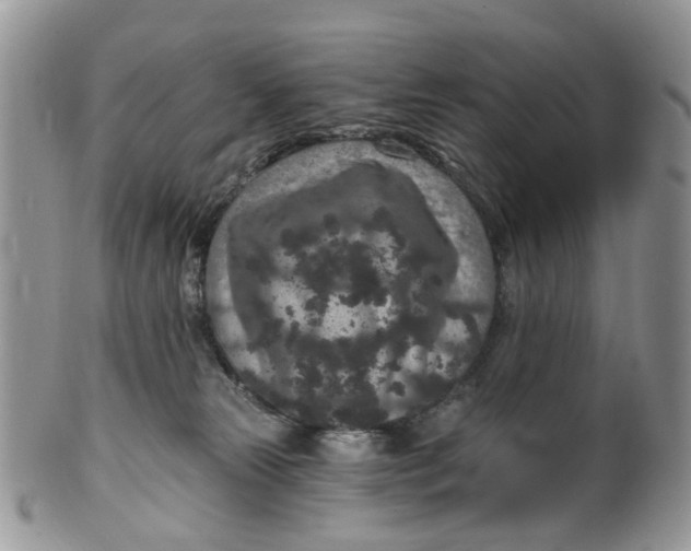 X0000099500181200806051132