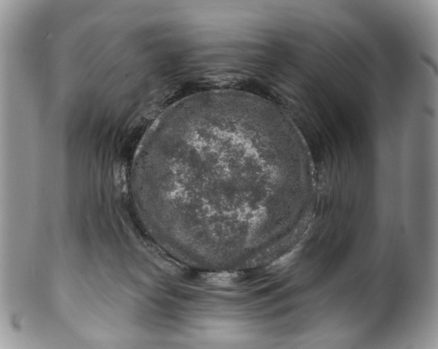 X0000099500182200806051132