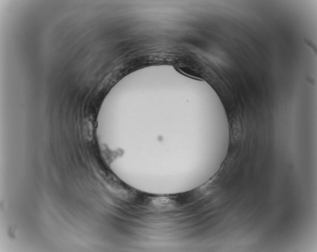 X0000099500183200806051132