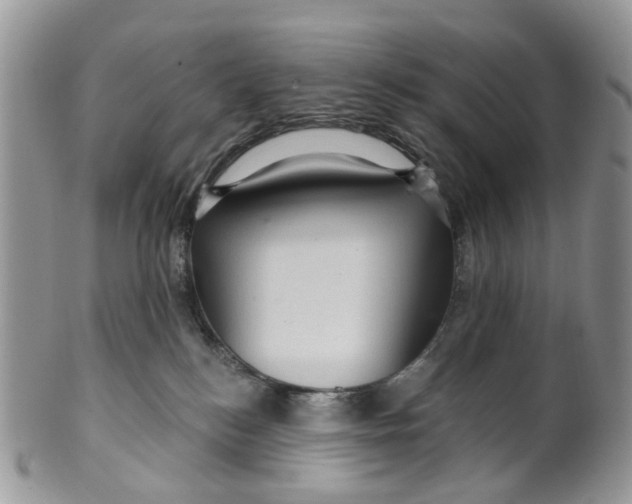 X0000099500184200806051132