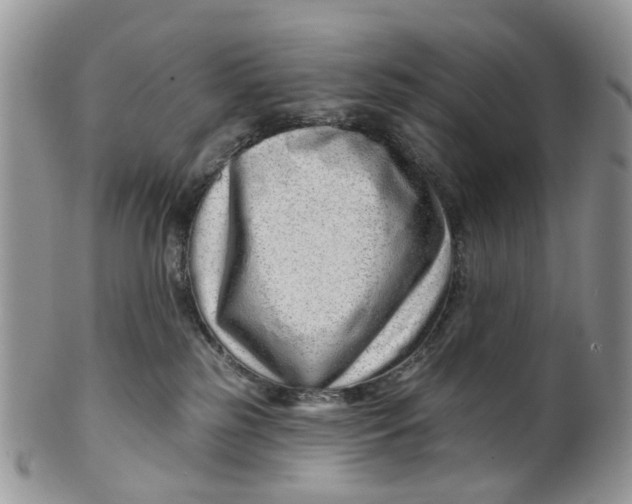 X0000099500185200806051132