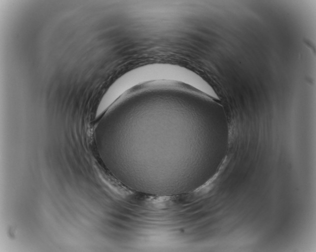 X0000099500186200806051132