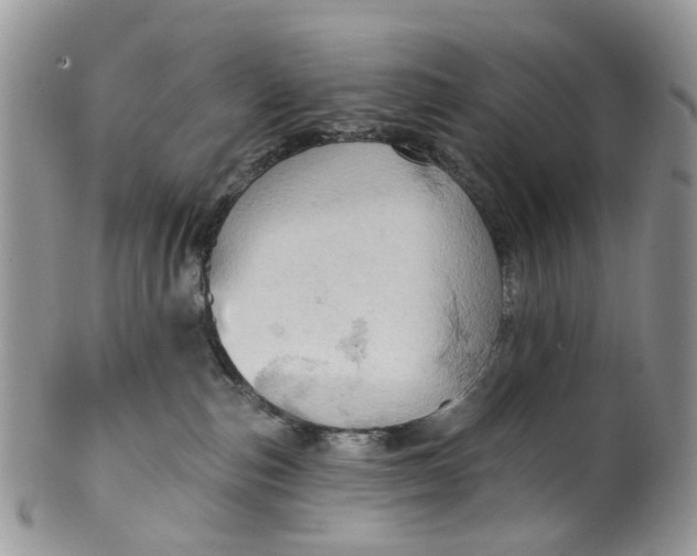 X0000099500187200806051132