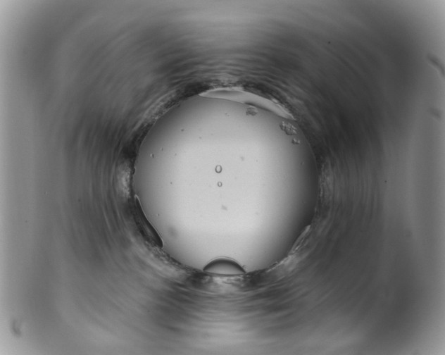 X0000099500188200806051132