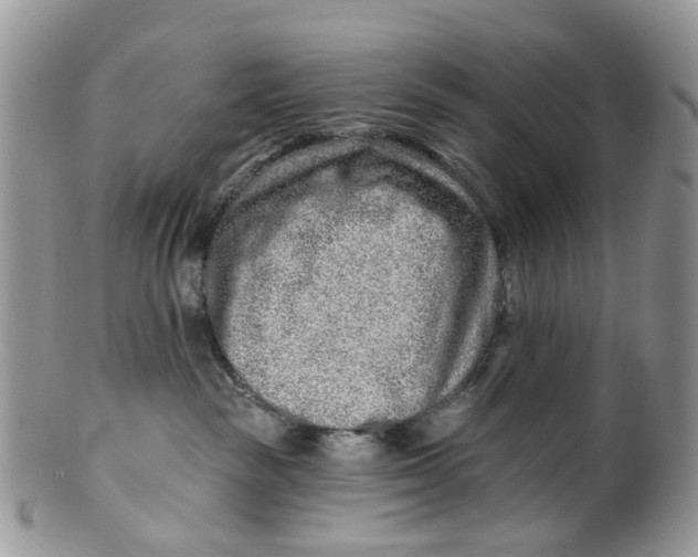 X0000099500189200806051132