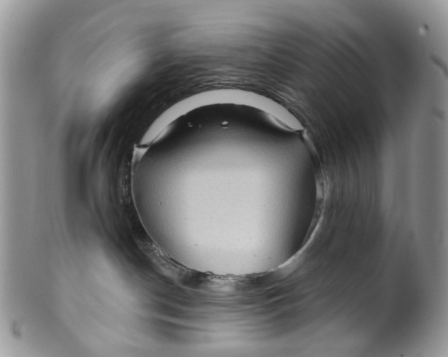 X0000099500190200806051132