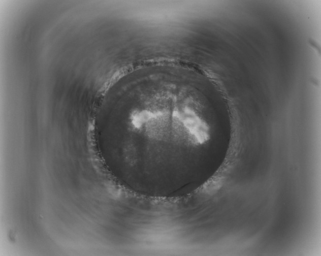 X0000099500192200806051132