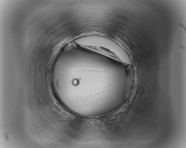 X0000099500193200806051131