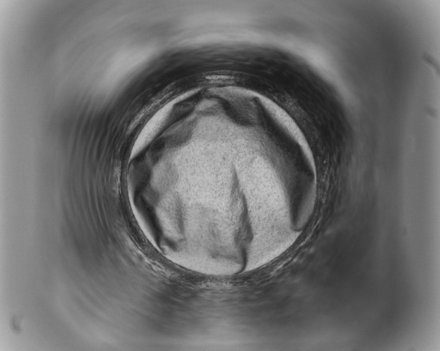 X0000099500194200806051131