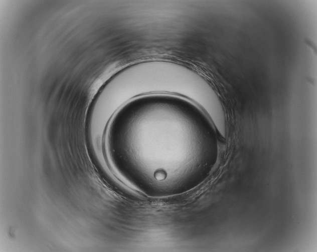 X0000099500195200806051131