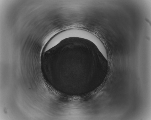 X0000099500196200806051131