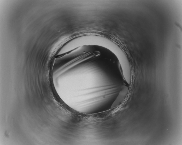 X0000099500197200806051131