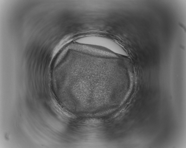 X0000099500198200806051131