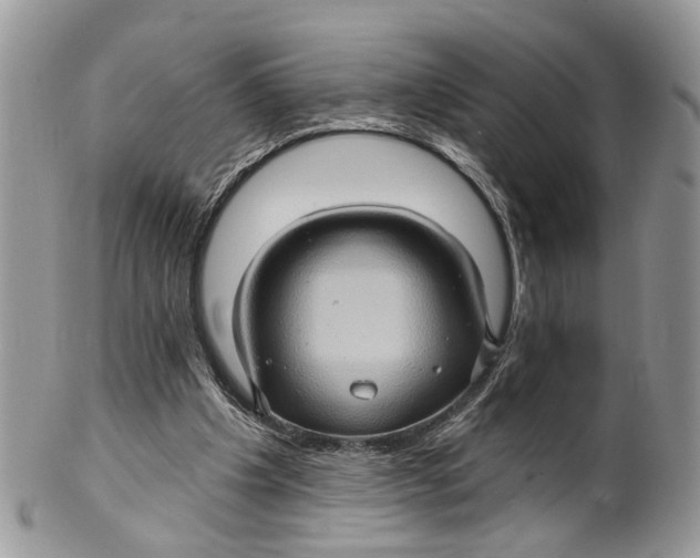 X0000099500201200806051131