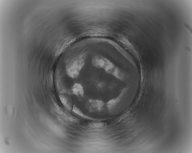 X0000099500202200806051131