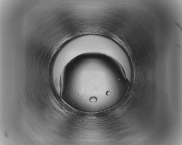 X0000099500203200806051131