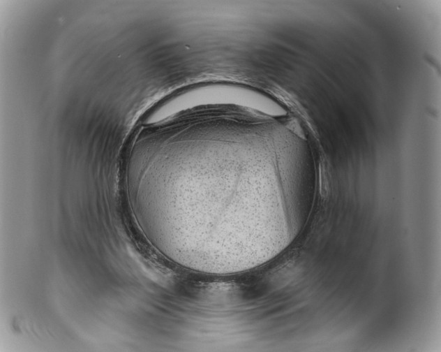 X0000099500204200806051131