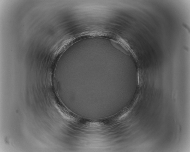 X0000099500205200806051131