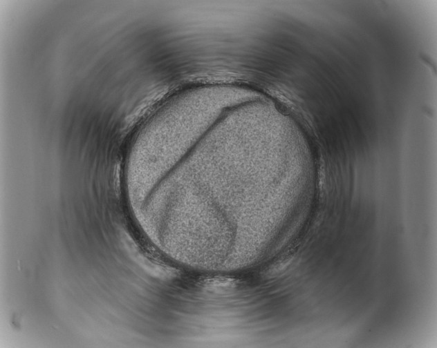 X0000099500206200806051131